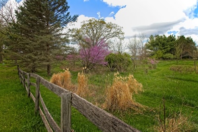 During the day, near the green grass under the blue sky has a brown wooden fence
